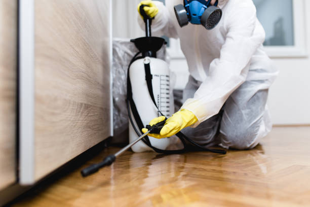  Trenton, TN Pest Control Pros