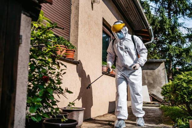 Trusted Trenton, TN Pest Control Experts