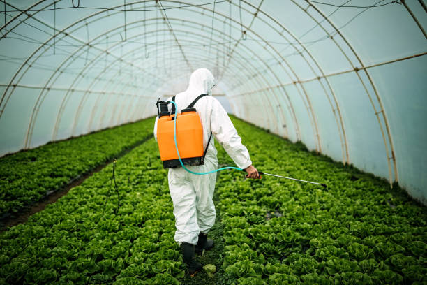 Best Pest Control for Homes  in Trenton, TN
