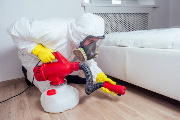 Best Wasp Removal Services  in Trenton, TN