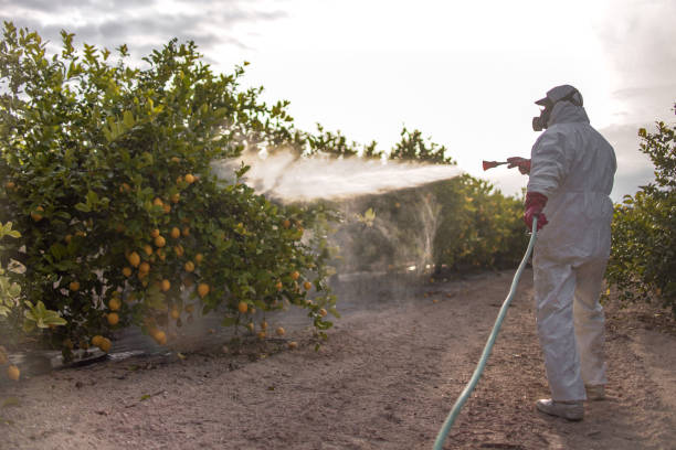 Pest Control for Restaurants in Trenton, TN