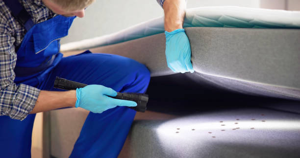 Best Pest Control Near Me  in Trenton, TN