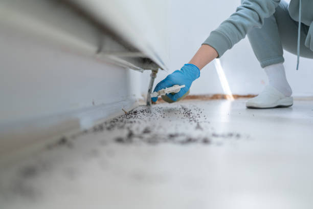Best Termite Control Services  in Trenton, TN